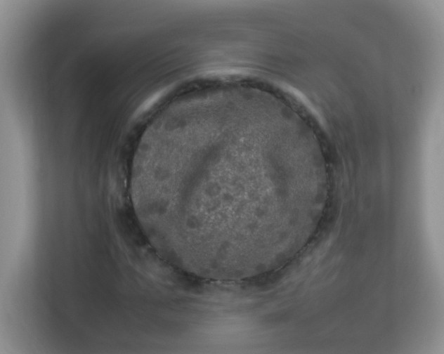 X0000113290871200909281010