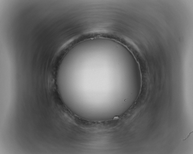 X0000113290872200909281010