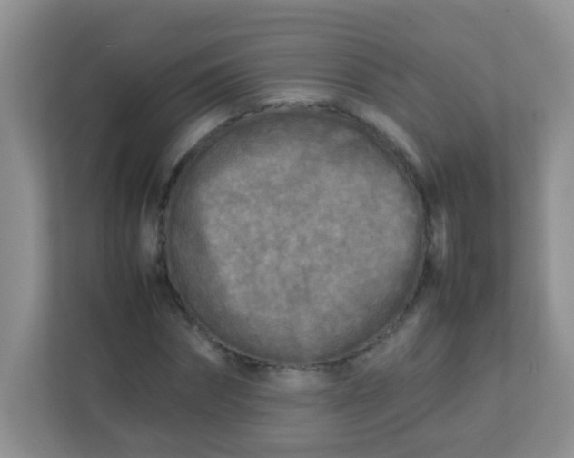 X0000113290874200909281010