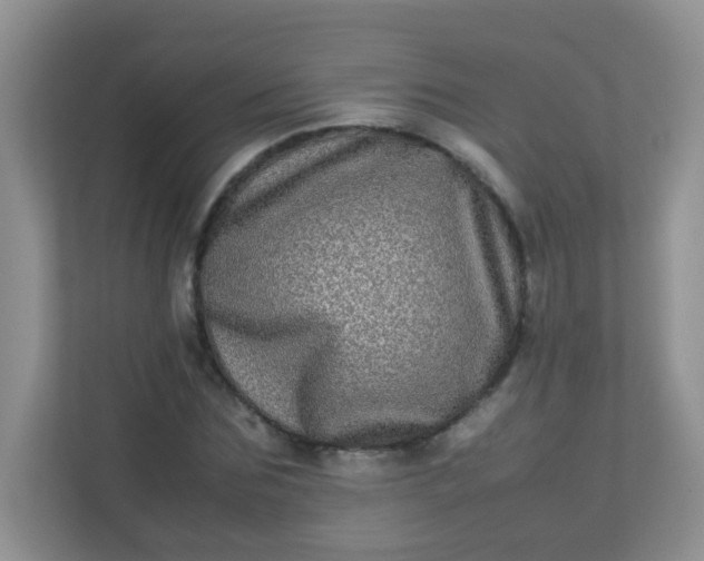 X0000113290875200909281010