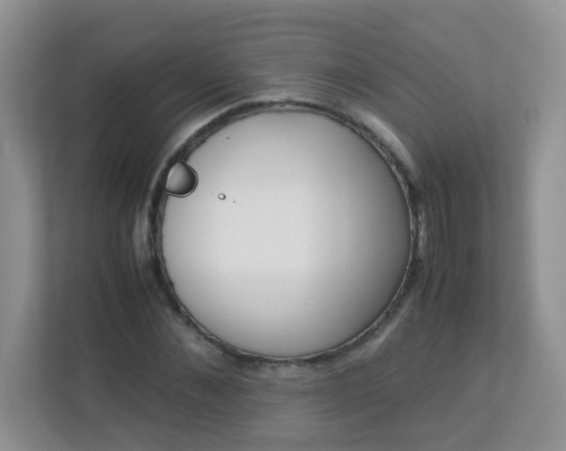 X0000113290876200909281010