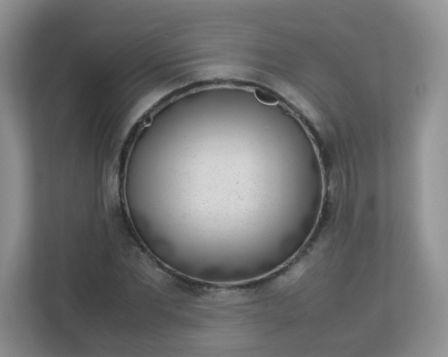 X0000113290877200909281010