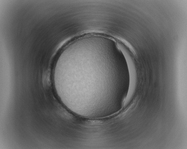 X0000113290878200909281010