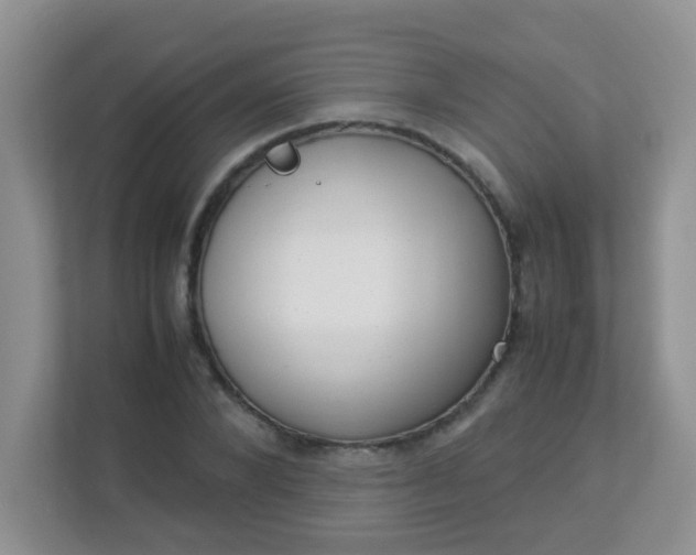 X0000113290880200909281010