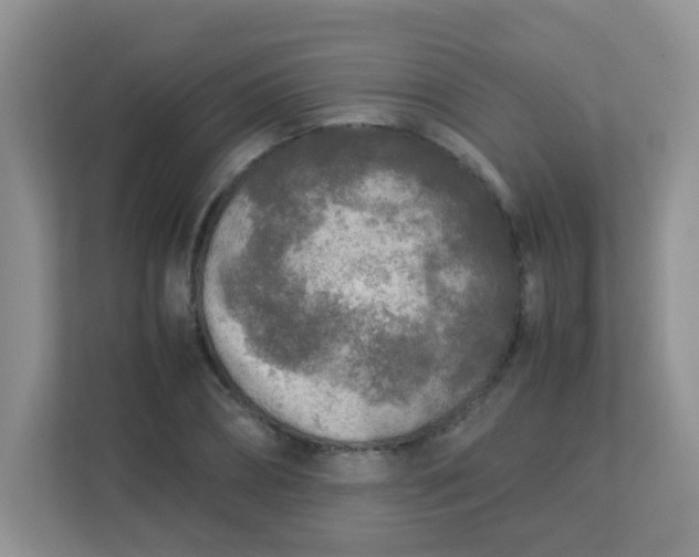 X0000113290882200909281010