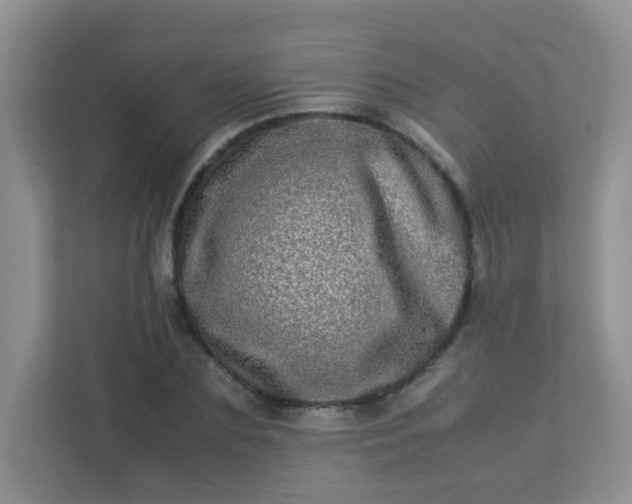 X0000113290883200909281010