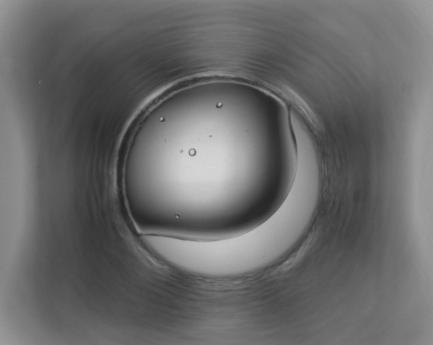 X0000113290884200909281010