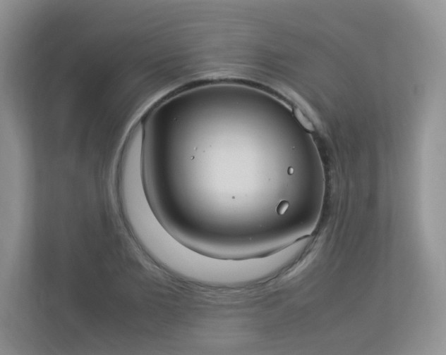 X0000113290885200909281010