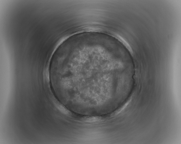 X0000113290891200909281010