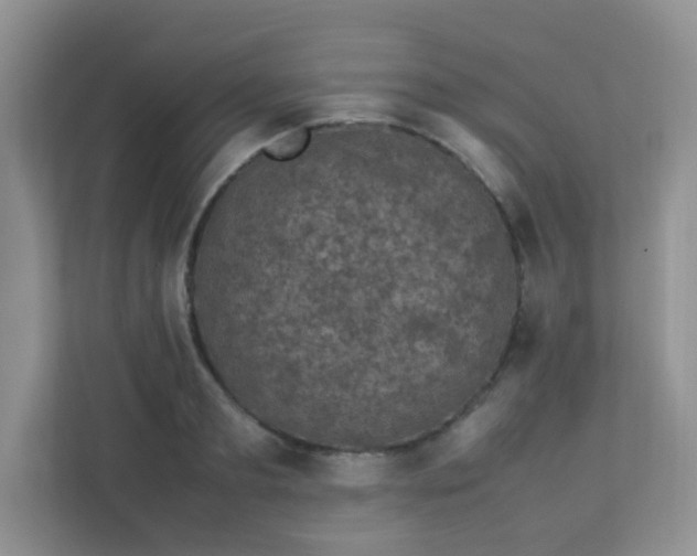 X0000113290893200909281010