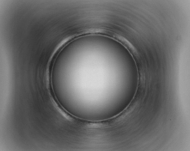 X0000113290894200909281010