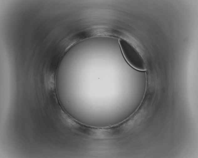 X0000113290897200909281010