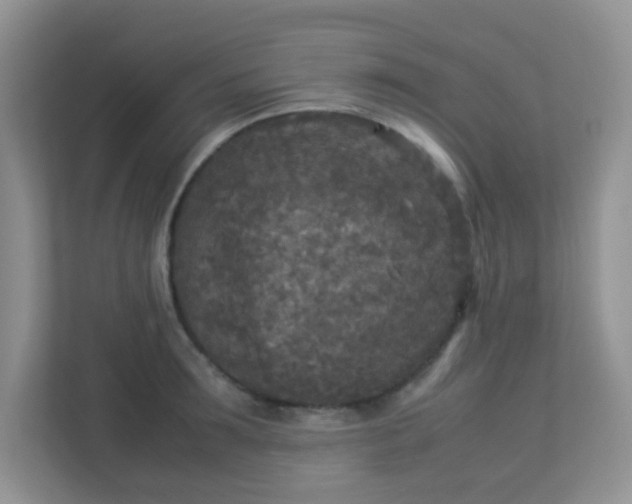 X0000113290899200909281009