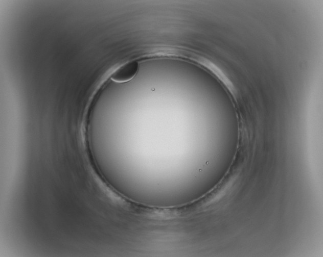 X0000113290901200909281009