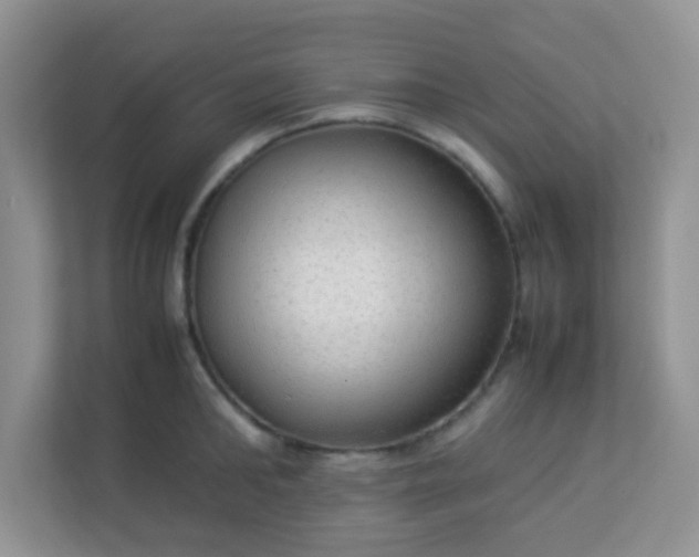 X0000113290902200909281009