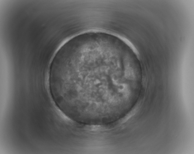 X0000113290903200909281009