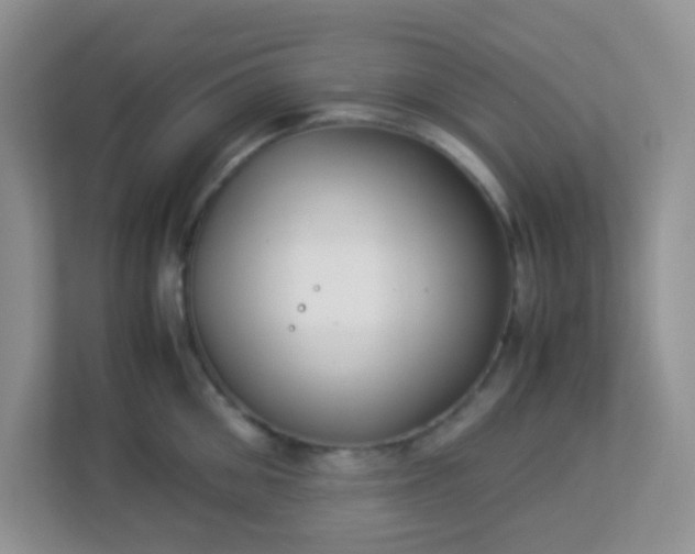 X0000113290906200909281009