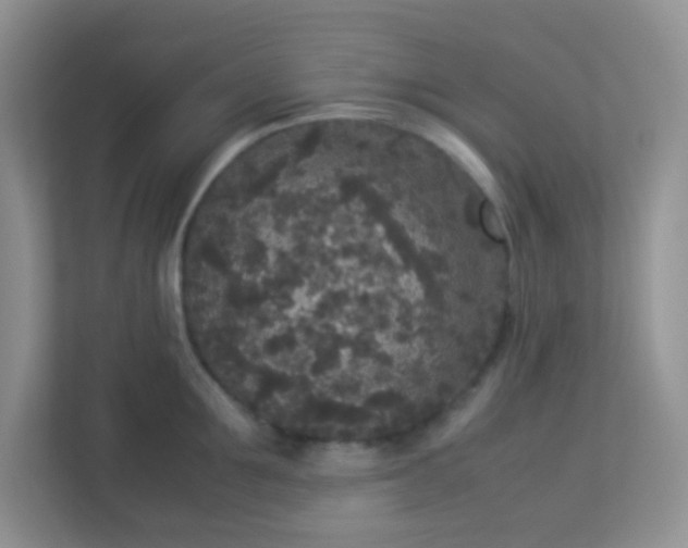 X0000113290907200909281009