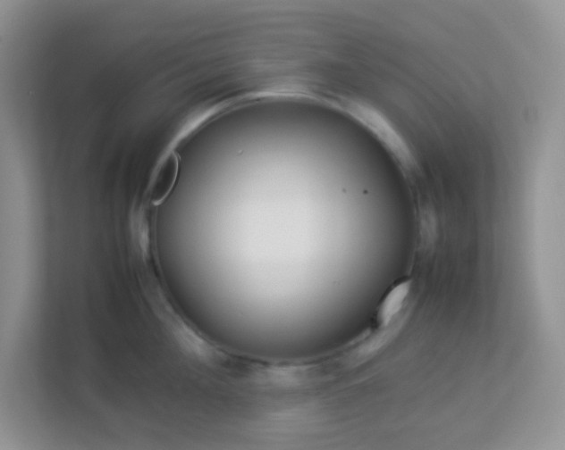 X0000113290908200909281009