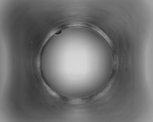 X0000113290909200909281009