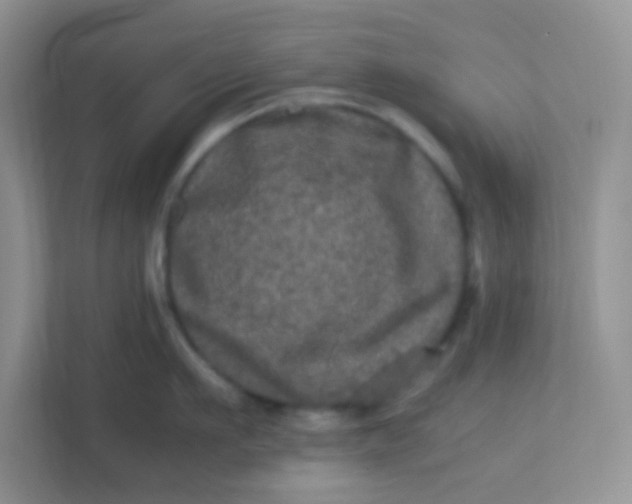 X0000113290911200909281009