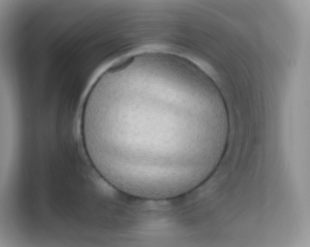 X0000113290912200909281009