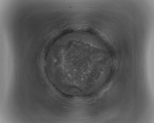 X0000113290913200909281009