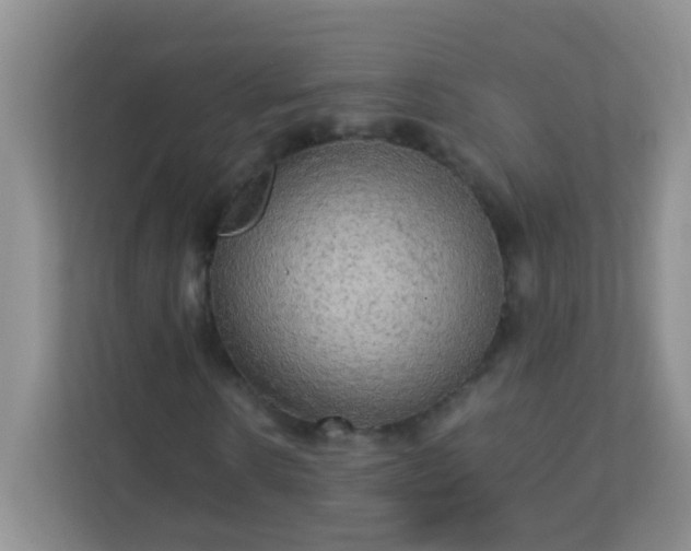 X0000113290914200909281009