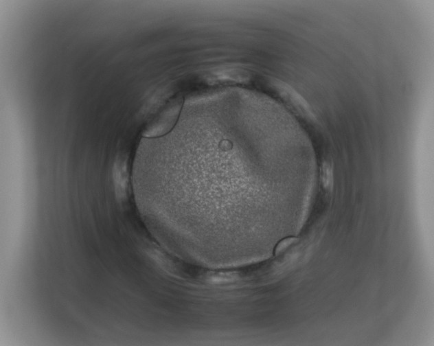 X0000113290915200909281009