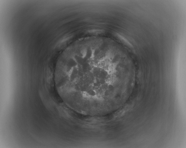 X0000113290917200909281009