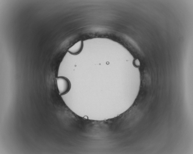 X0000113290918200909281009