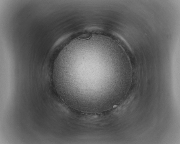 X0000113290919200909281009