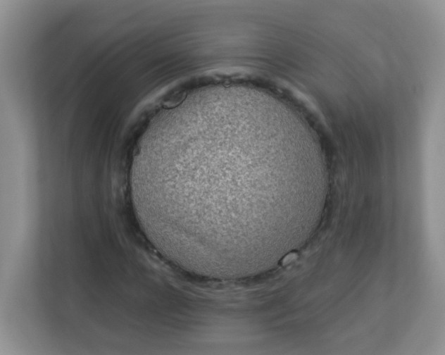 X0000113290920200909281009