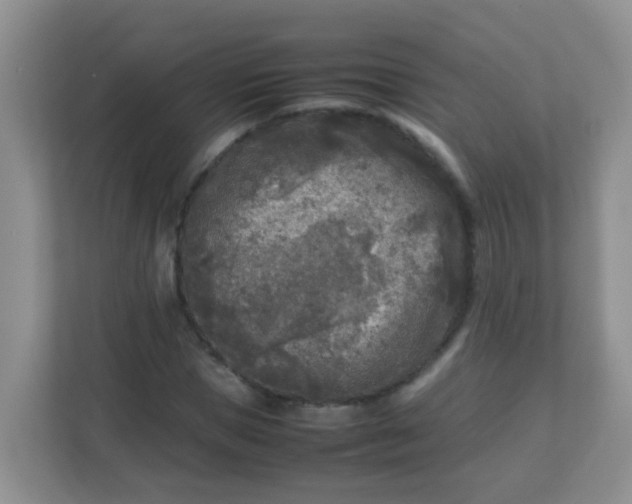 X0000113290921200909281009