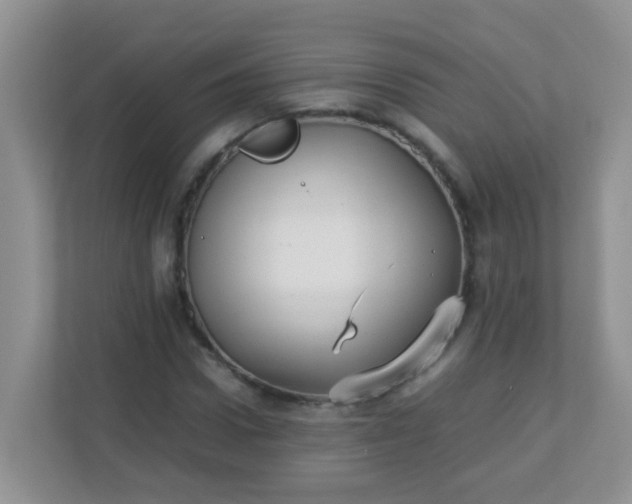 X0000113290922200909281009