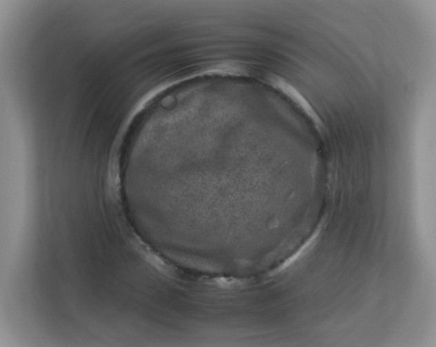 X0000113290923200909281009