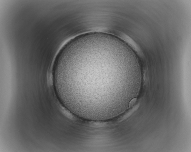 X0000113290924200909281009