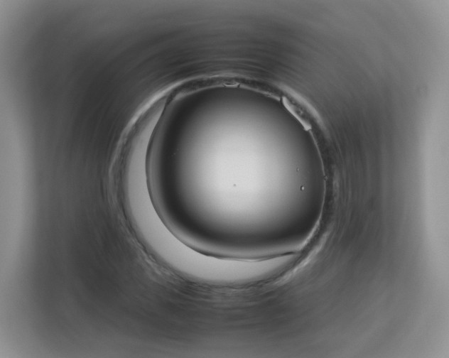 X0000113290925200909281009