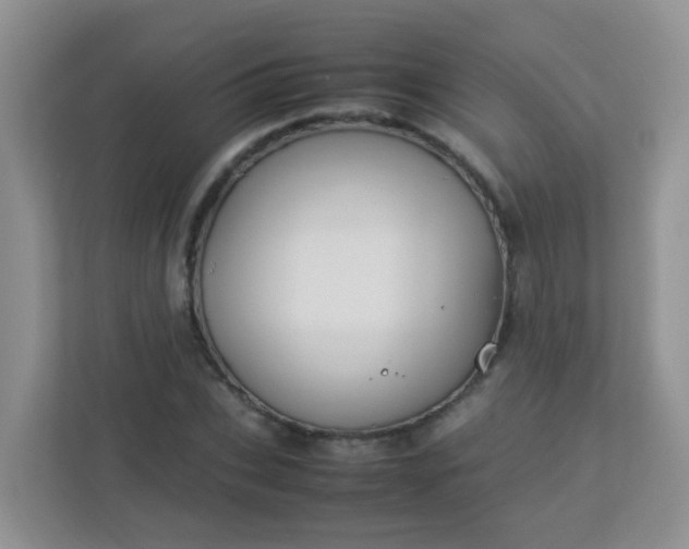 X0000113290927200909281009