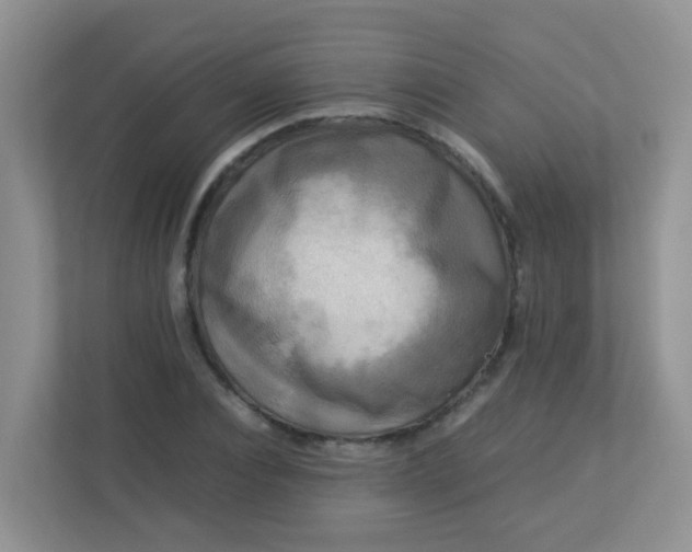 X0000113290928200909281009