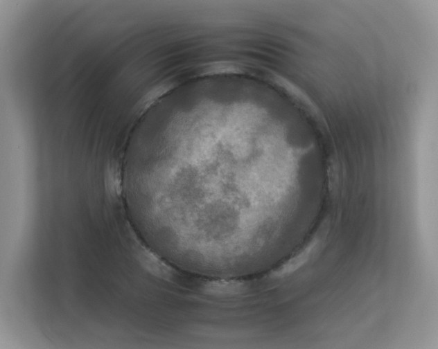 X0000113290929200909281009