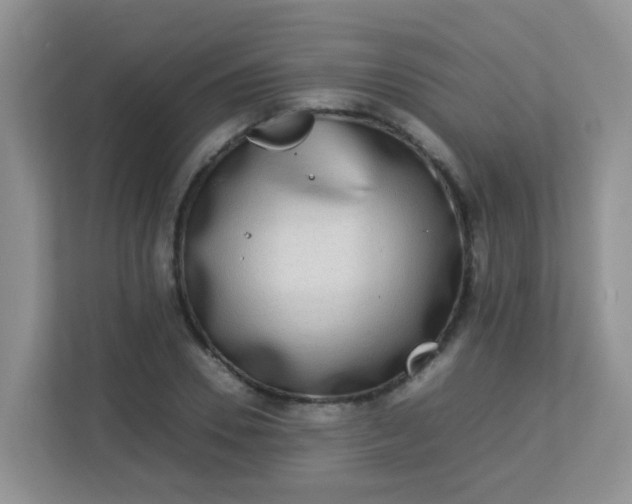 X0000113290930200909281009