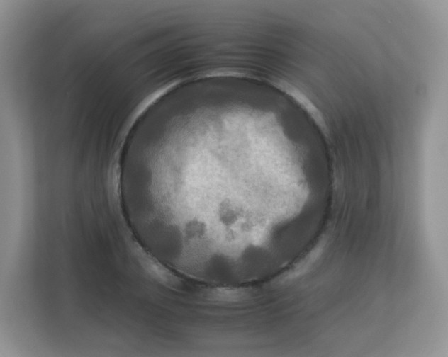 X0000113290933200909281009