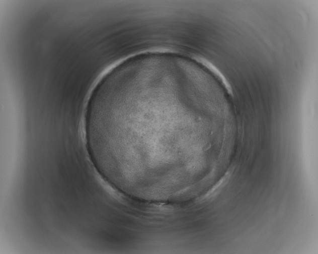 X0000113290935200909281009