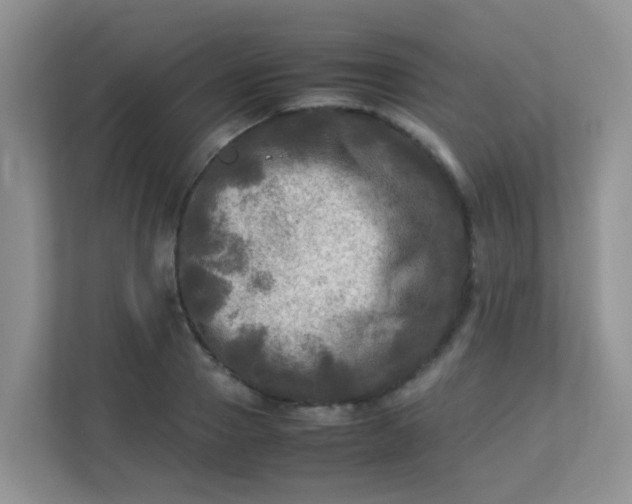 X0000113290937200909281009