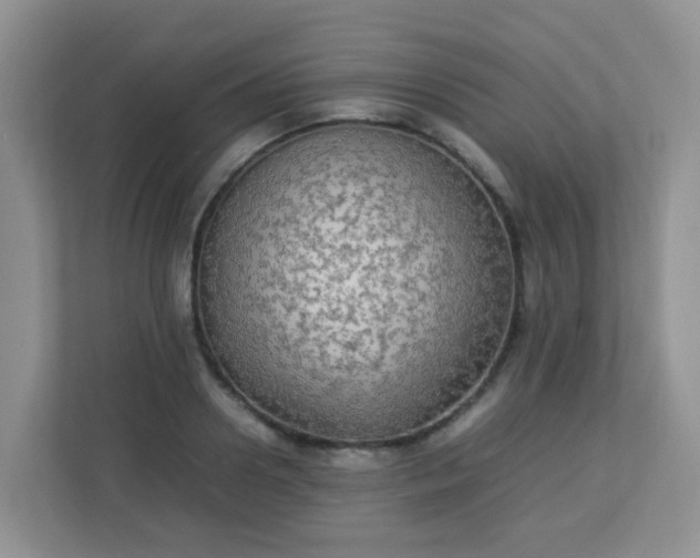 X0000113290938200909281009