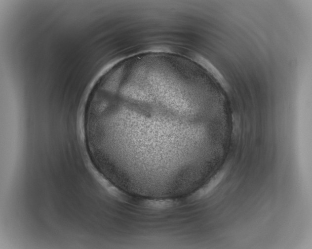 X0000113290939200909281009