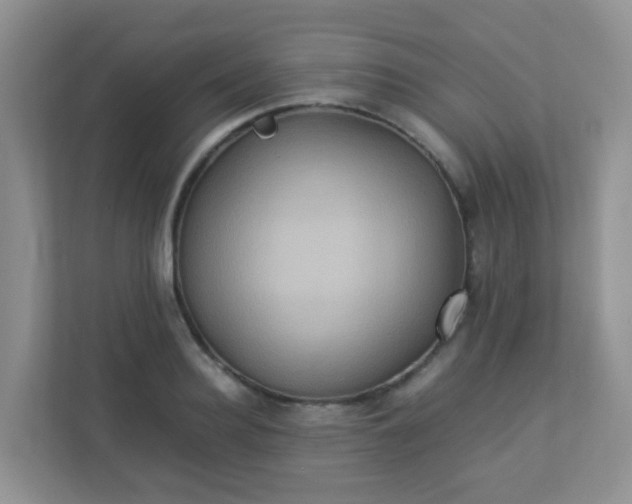 X0000113290940200909281009