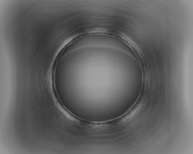 X0000113290941200909281009