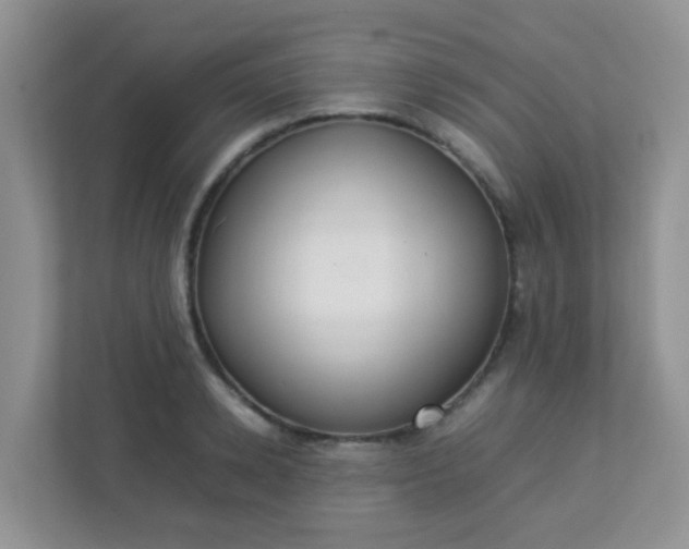 X0000113290942200909281009